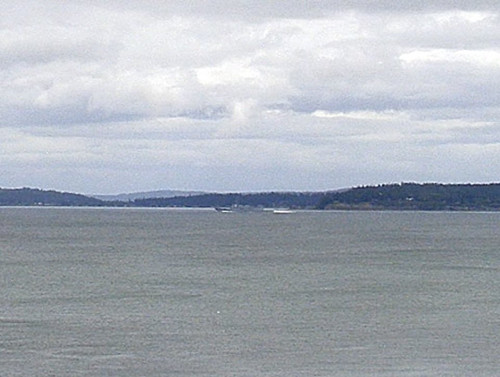 GPPa f1W8AA41AF?format=jpg.jpg