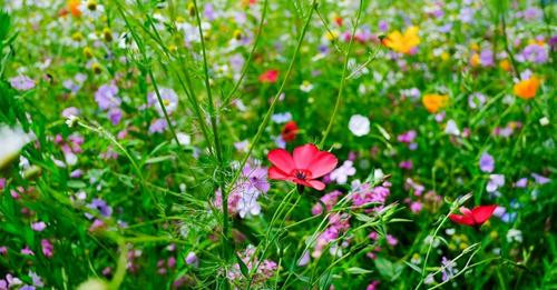 11627774293971063609?url=https%3A%2F%2Fberliner zeitung.imgix.net%2F2024%2F06%2F04%2Fdd47bc8e ca16 4.jpg