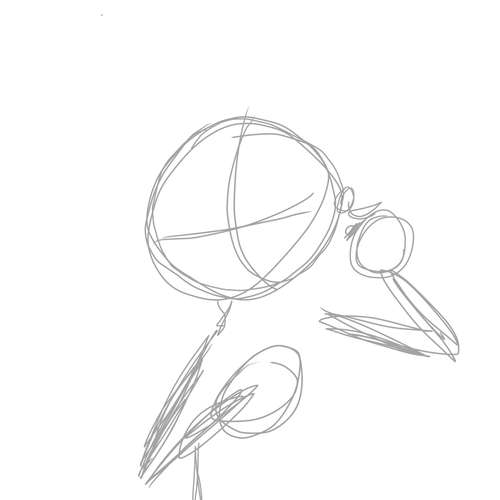 IMG 1483.png