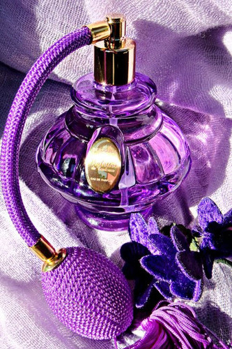 Violettes de Tolouse Berdouse.jpg
