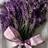 6 Best Lavender Perfume, You´ll love too! 2024 8