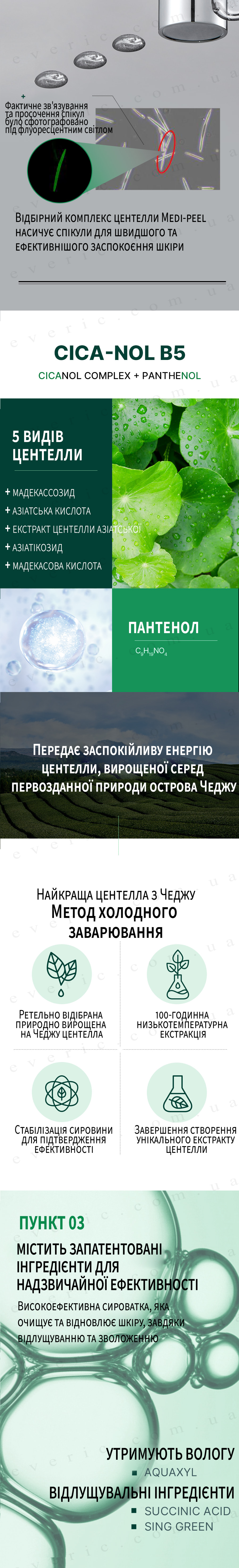 03 копия