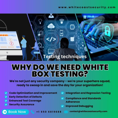 Why Do We Need White Box Testing.jpg