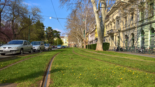 WP 20210421 15 59 51 Rich.jpg