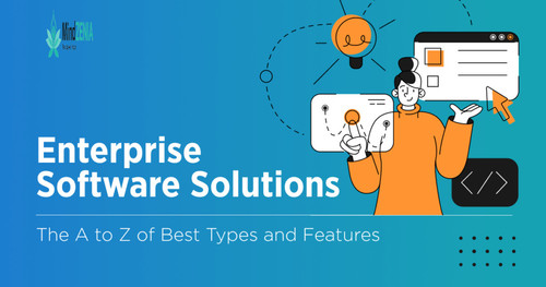 Best Enterprise Solutions Online Services - MindZenia.jpg