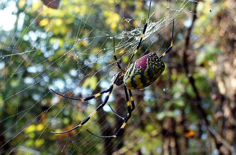 8453dbf4 e0fb 4b17 b5d7 534.jpg