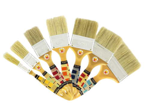 Remove bg.ai 1717572562507.png