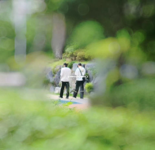 img 171757106482752e18ecf7ce1d0f869c4426ff432d63f96202a7ac99a592ba9bb5e04408e0803 edit 1480972324097.jpg