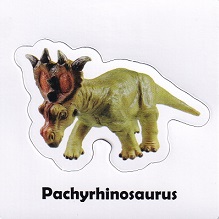 4 Pachyrhinosaurus.jpg