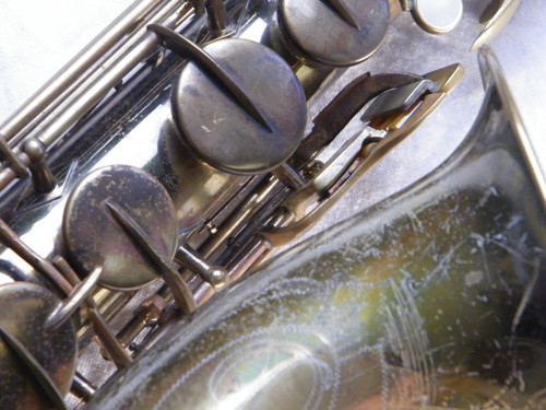 DSCF8180.jpg