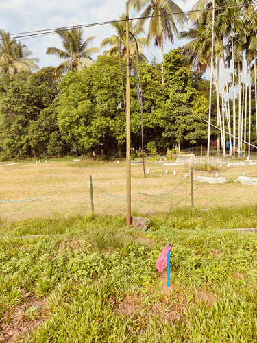 WhatsApp Image 2024 06 07 at 9.54.24 AM.jpg