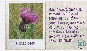 ALBERT Prázdniny v jednom kole 101.jpg