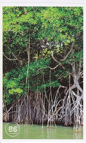 ALBERT Prázdniny v jednom kole 086.jpg