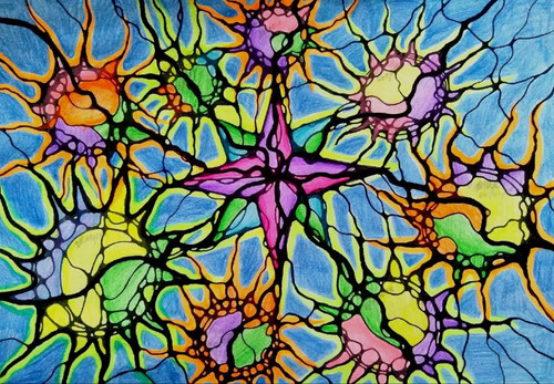 1717647800 305280127.jpg