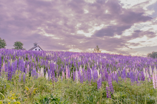 447972346 10234277684469660 4691577008955635949 n.jpg