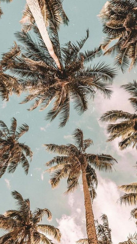 488. 43 BEST ergebnis.jpg