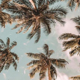 488. 43 BEST ergebnis