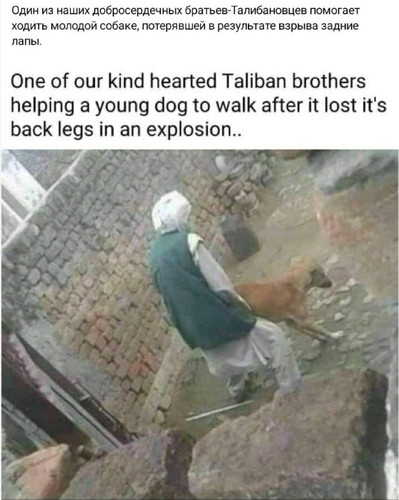 m2CPnMwEtydaMOqFikpqLcGrbv2UOUgDnu8omRpJtkU2DOHZdYI5CpY4hoLaYIvErBPvVlhkHG0ndqo1BxB4lJOjZg 2kPbzaG2F.jpg