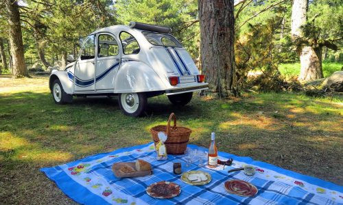 355262873 785248989732035 2464257655837591076 n.jpg