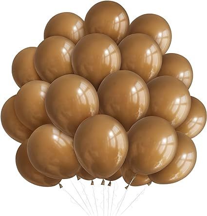 61HofU zDvL. AC SX425 .jpg