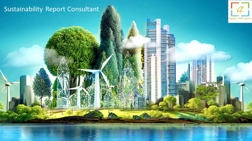 Sustainability Report Consultant.jpg
