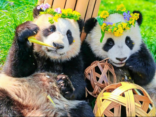 IMG 20240414 094850.jpg