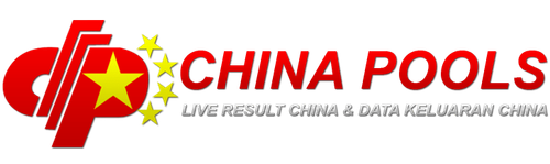 logo china dwujya (1).png