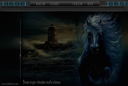 At Radyo Tema 4 liebefee13