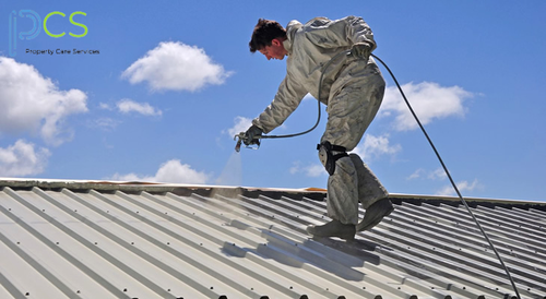 Roof Painting service in Auckland.png