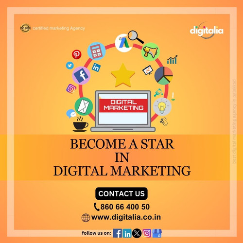 best digital marketing agency in palakkad (1).jpg
