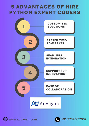 Hire Python Expert Coders.jpg