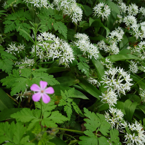 32b5db82 7588 4b22 a747 0e03be13cf6e 1 all 5164.jpg