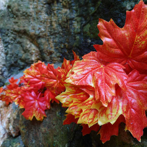 32b5db82 7588 4b22 a747 0e03be13cf6e 1 all 5079.jpg