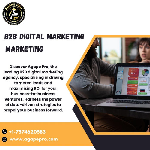 Agape Pro Your Premier B2B Digital Marketing Agency Partner.jpg