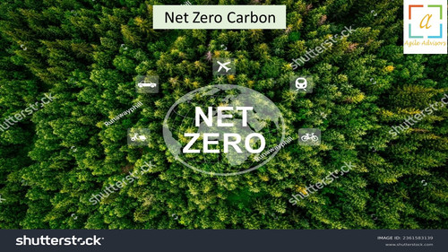 6.6.24 nzcarbon.jpg