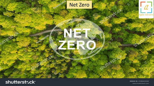 6.6.24 nz.jpg