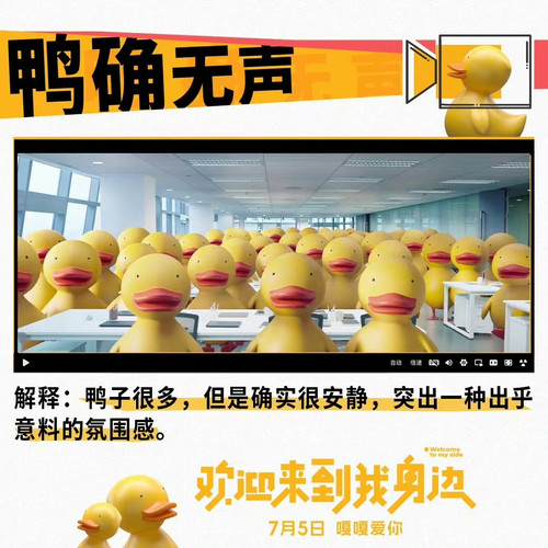 65D2C21A 9F9C 4AF3 9BF6 07781034FA2F.jpg