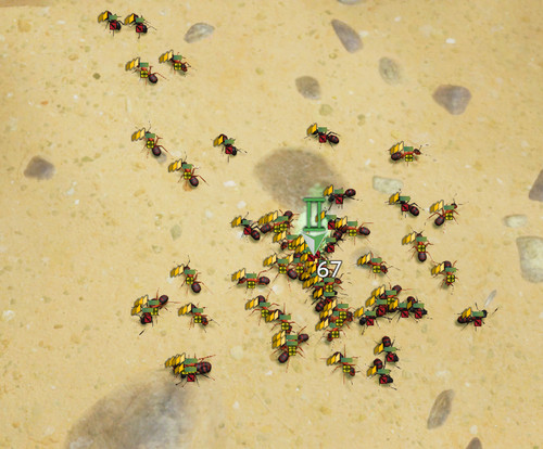 EotU Win64 Shipping 2024 06 09 06 42 10.png