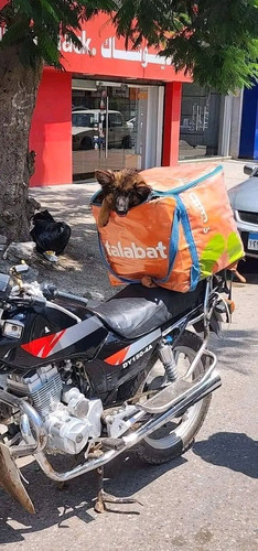 ٢٠٢٤٠٦٠٨ ١٥٤٣٤٣.jpg