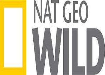 Nat geo wild.jpg