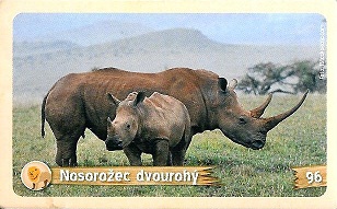 PENNY Za zvířaty kolem světa 096.jpg