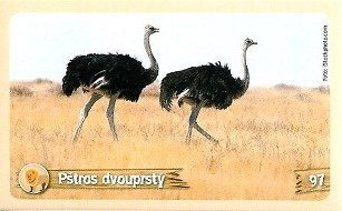 PENNY Za zvířaty kolem světa 097.jpg