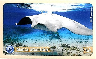 PENNY Za zvířaty kolem světa 166.jpg