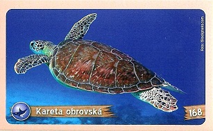 PENNY Za zvířaty kolem světa 168.jpg