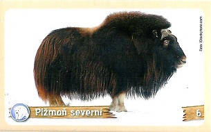 PENNY Za zvířaty kolem světa 006.jpg