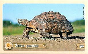 PENNY Za zvířaty kolem světa 088.jpg