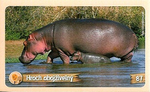 PENNY Za zvířaty kolem světa 087.jpg