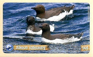 PENNY Za zvířaty kolem světa 144.jpg