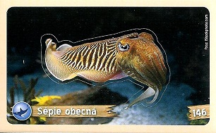 PENNY Za zvířaty kolem světa 146.jpg