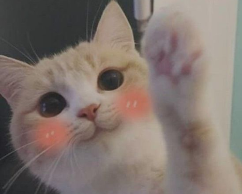 Untitled design (5).png